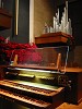 Carolina Pipe Organ